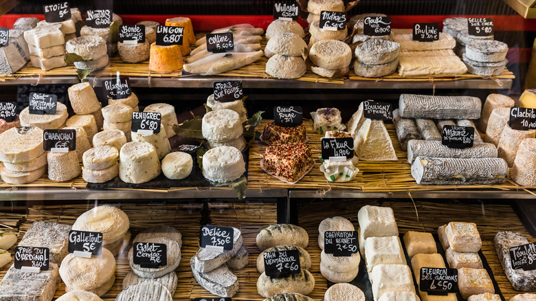 Varied cheese selection at grocery store