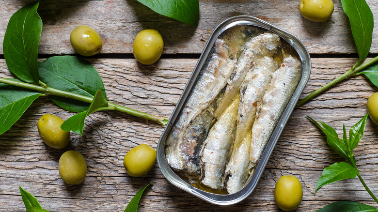 Sardines packed in oil with olive oil leaves and olives