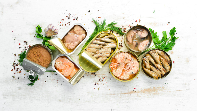 Various types of canned fish opened on a white background