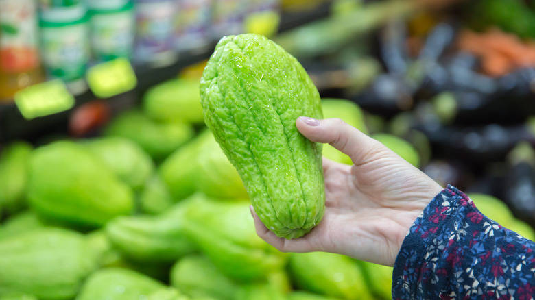 Close up of woman's hand holding whole fresh chayote squash