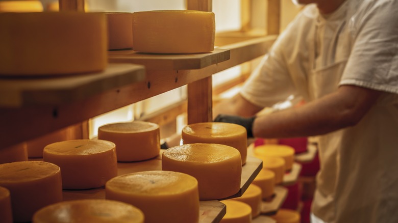 Cheese wheels on shelves