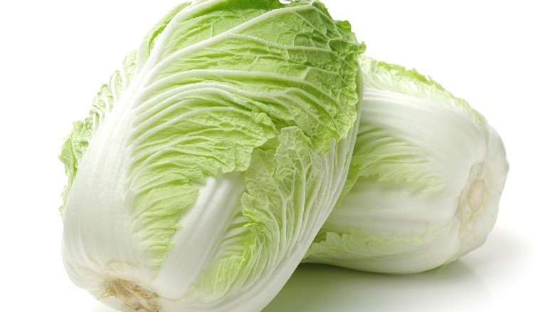 what-is-chinese-cabbage-and-what-does-it-taste-like