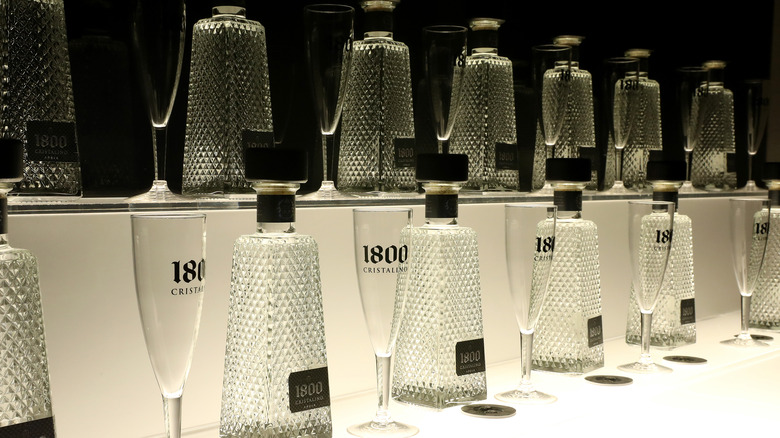 Row of cristalino tequila