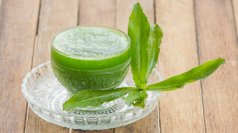 Traditional medicinal drink made with culantro