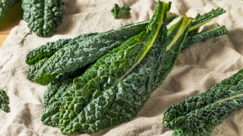 lacinato kale on towel