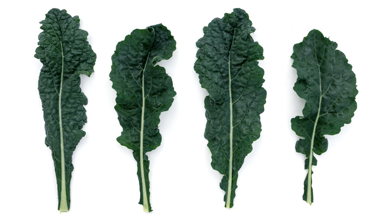 lacinato kale leaves