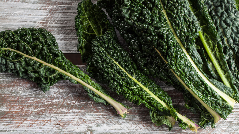 lacinato kale on table