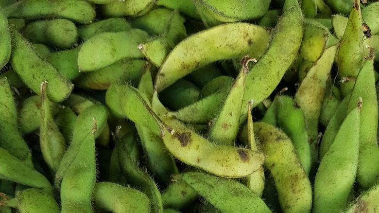 fresh edamame