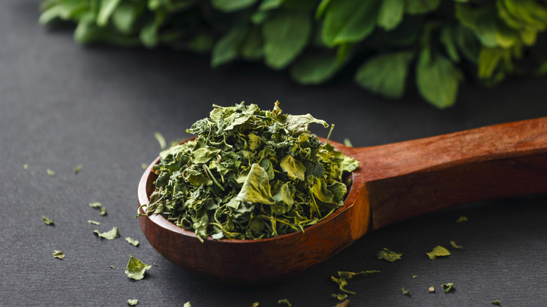 dried fenugreek leaves in wooden spoon