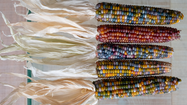 Glass gem corn