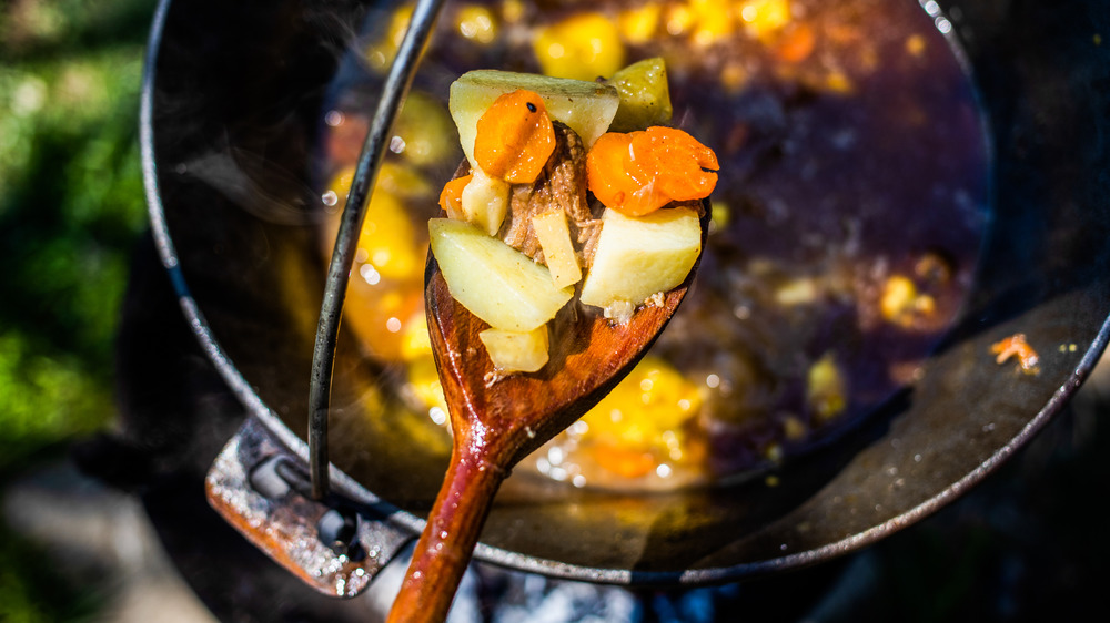 Pot of goulash over fire. Wooden spoon holding veggies and meat.