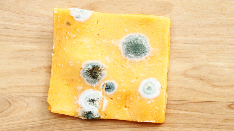 Moldy cheese