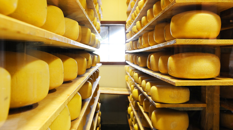 Rows of stored cheese wheels