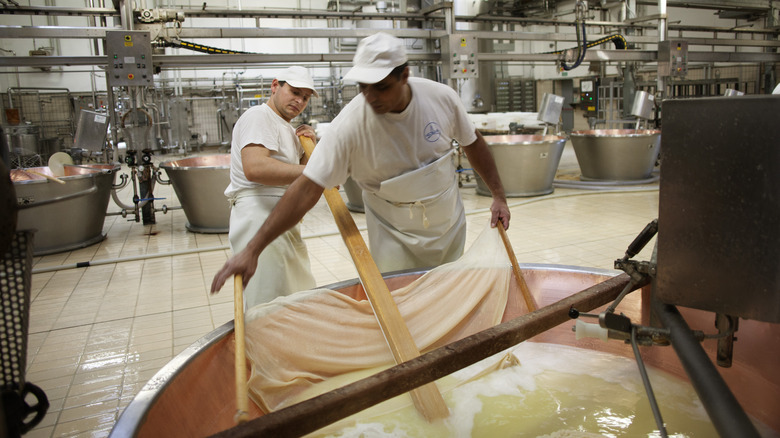 grana padano cheese vats