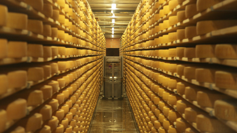 Gruyère cheese wheel factory