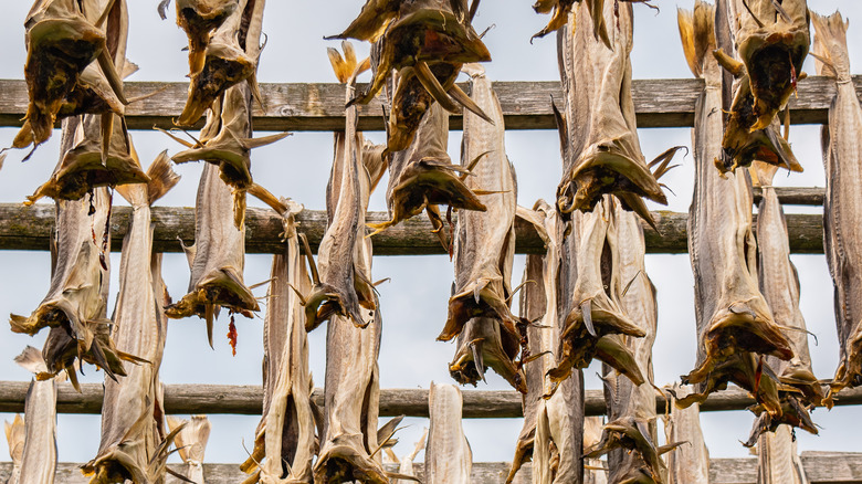 Cod drying for lutefisk