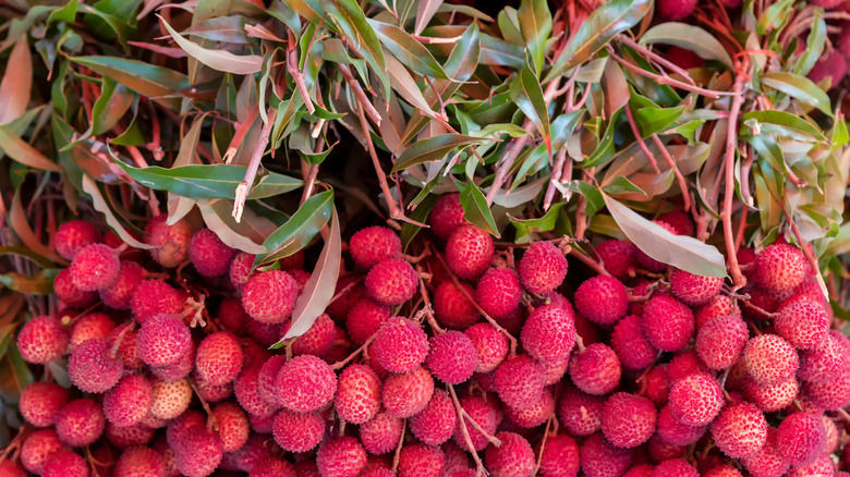 bunch of lychees with branches and leaves attached