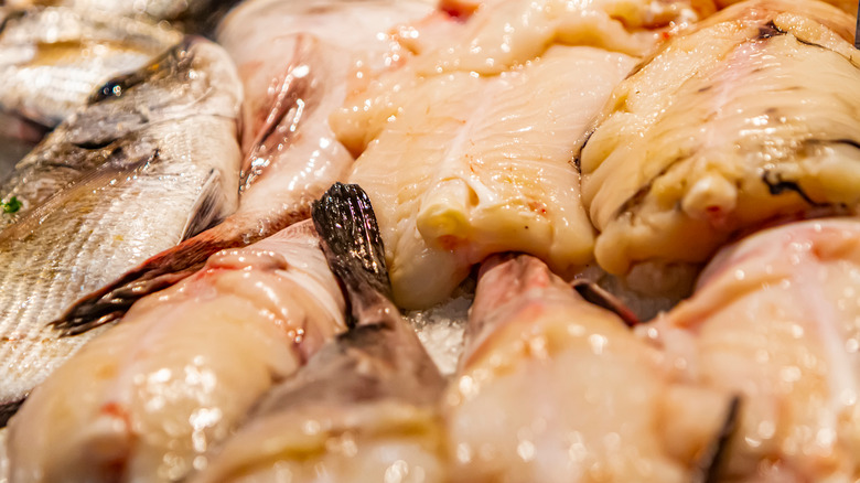 Monkfish available at a fish market 