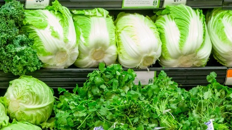 Napa cabbage on grocery store shelf