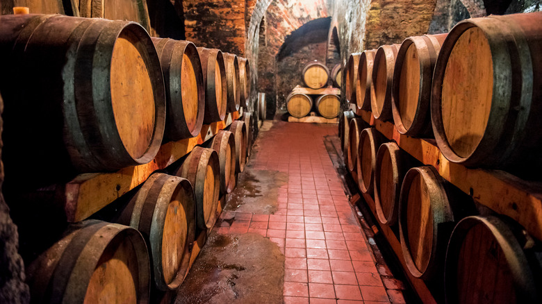 Wine barrels in cellar 