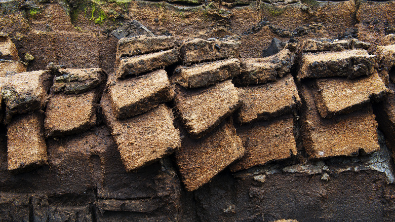 Peat excavation 