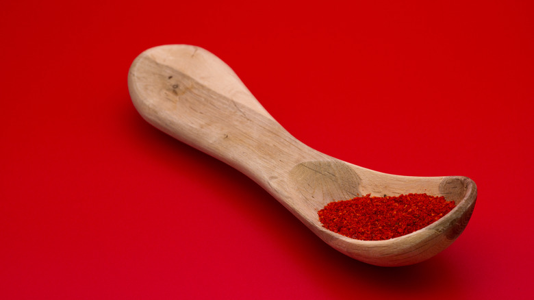  Piment d'Espelette on a spoon