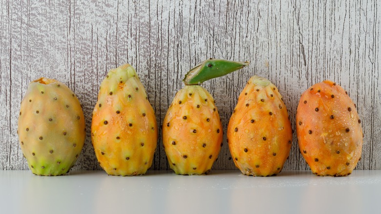 Five prickly pear fruits lined up