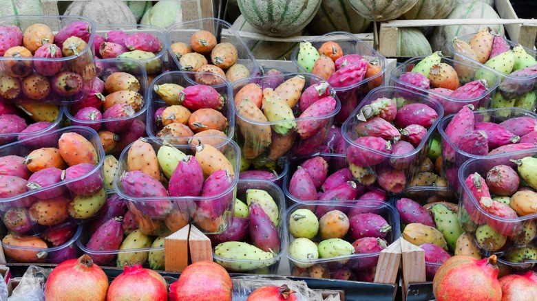 Prickly pears for sale in containers