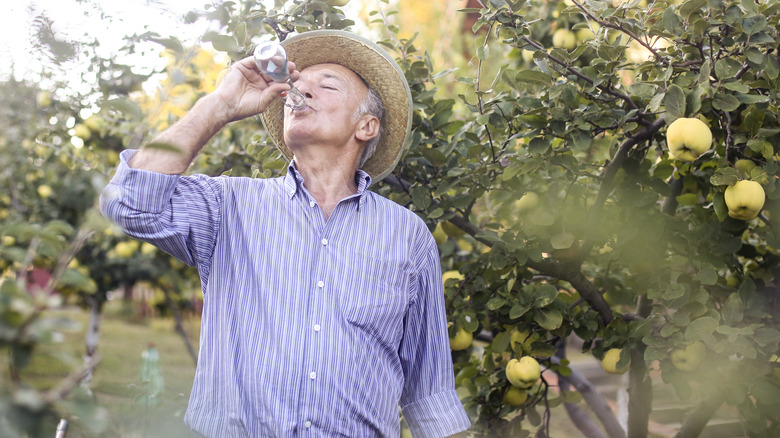 drinking rakia in quince orchard