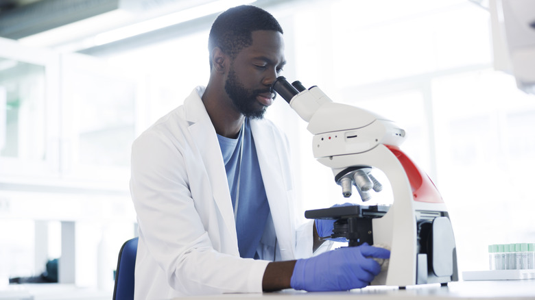 A doctor examining something under the microscope