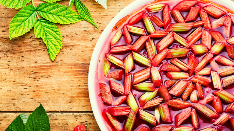 Red rhubarb in water