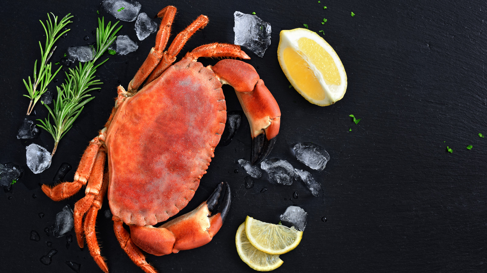 Stone Crab Nutrition Facts Besto Blog