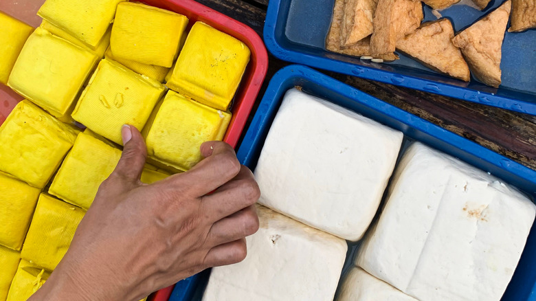 Different types of tofu