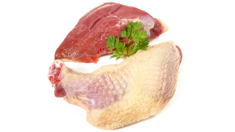 raw squab