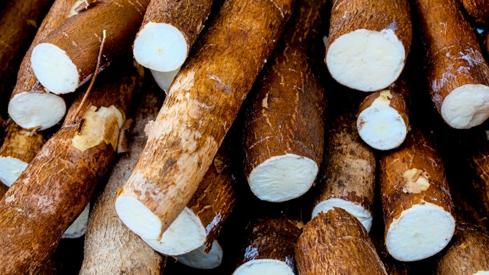 cassava