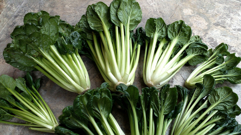 Bunches of tatsoi