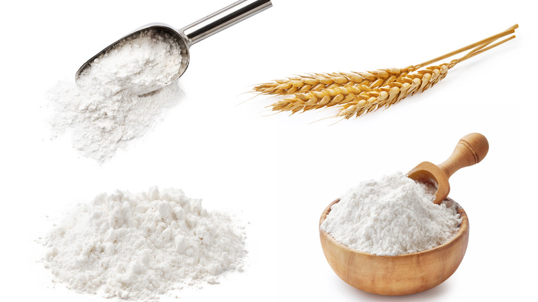 Flour in a bowl with a piece of wheat