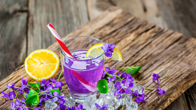 violet drink surrounded by violet petals and lemon