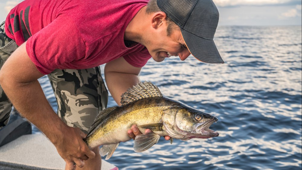 Fisherman with walleye