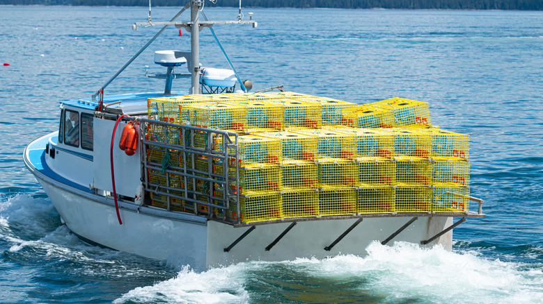 Lobster traps on boat