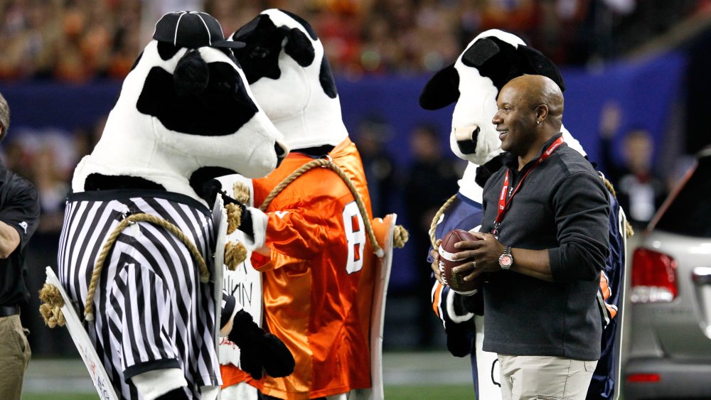 Chick-fil-A Cows at the Chick-fil-A bowl football game