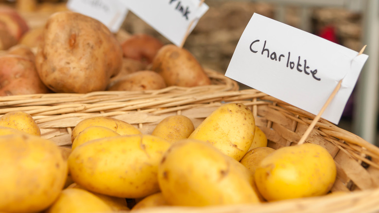 Basket of Charlotte potatoes