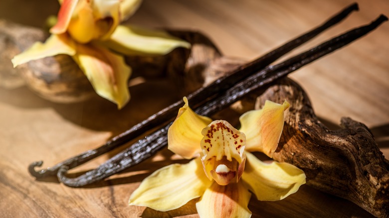 vanilla bean with flower