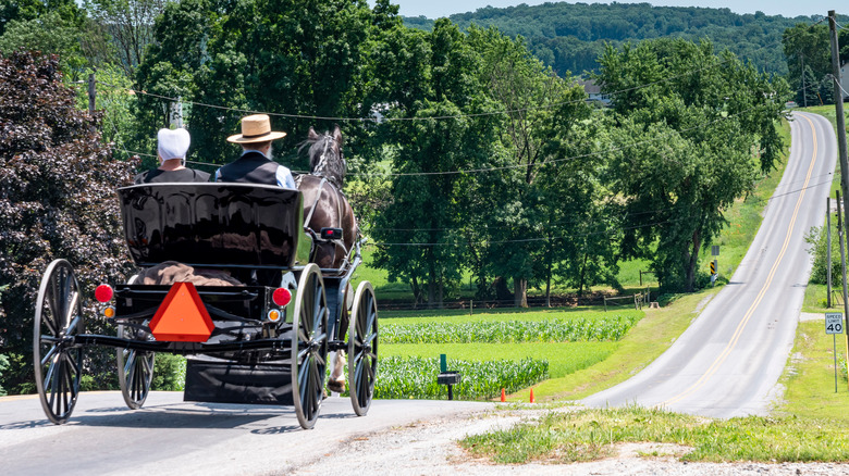 amish couple riding horse and buggy