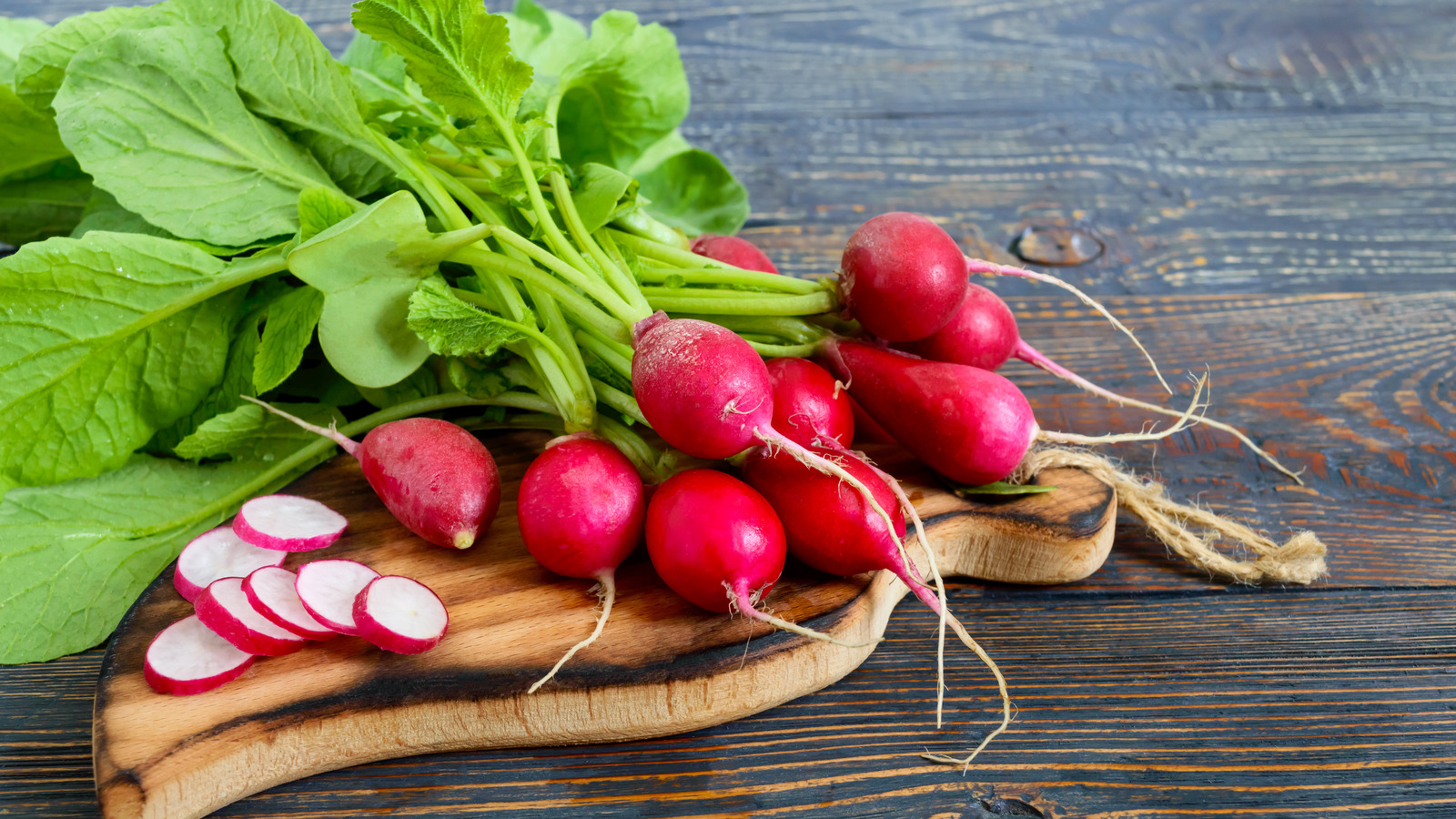 What Are French Breakfast Radishes And What Makes Them Special?