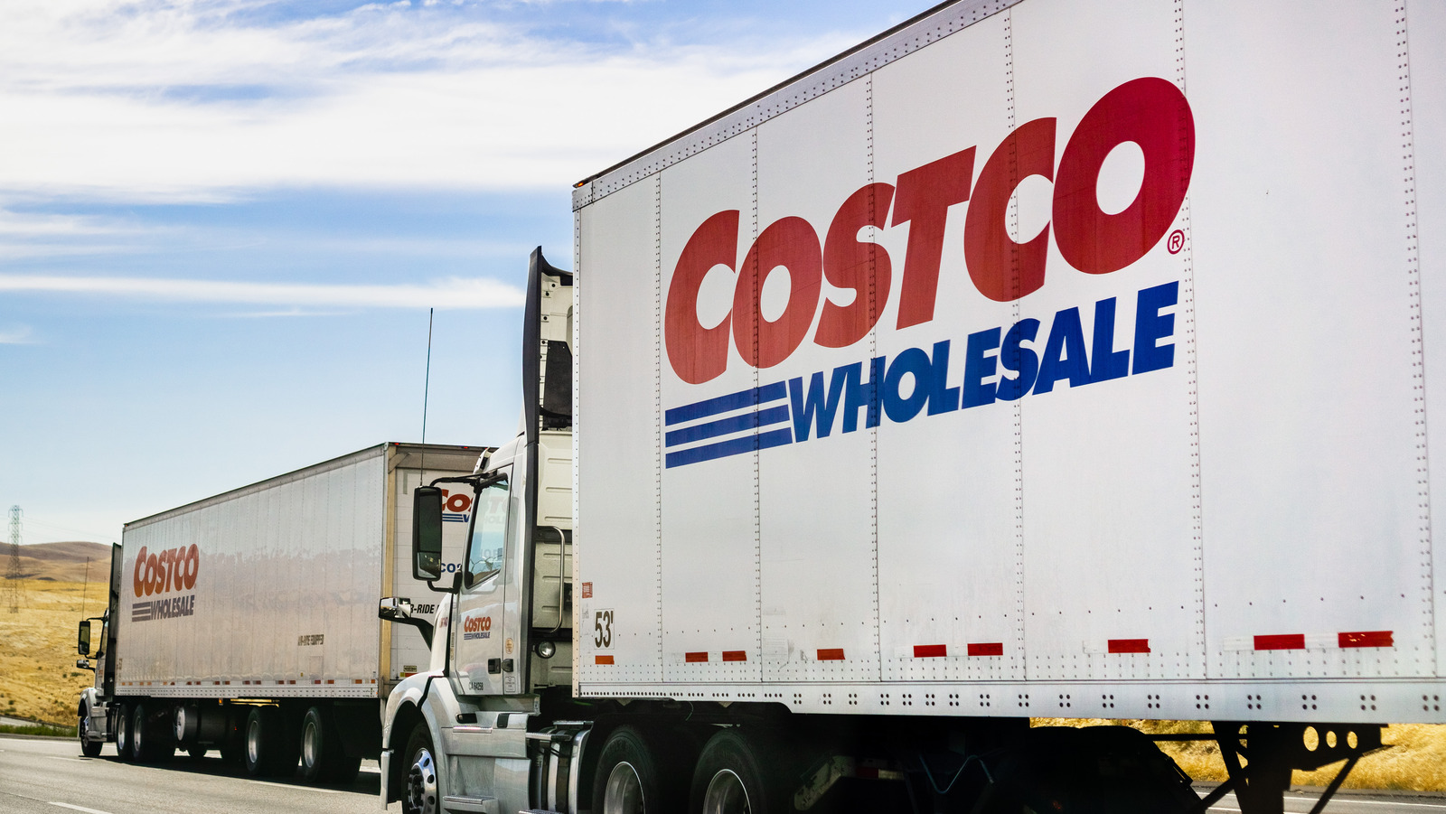 What Makes This Costco Delivery So Unbelievable