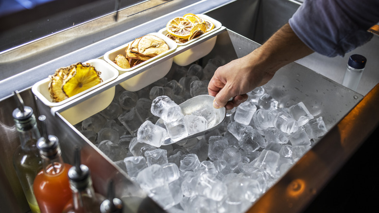 bartender scooping ice