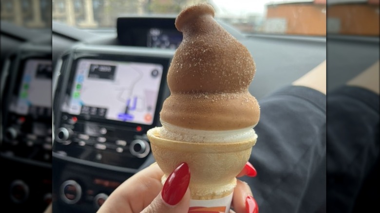 Hand holding churro dipped DQ cone