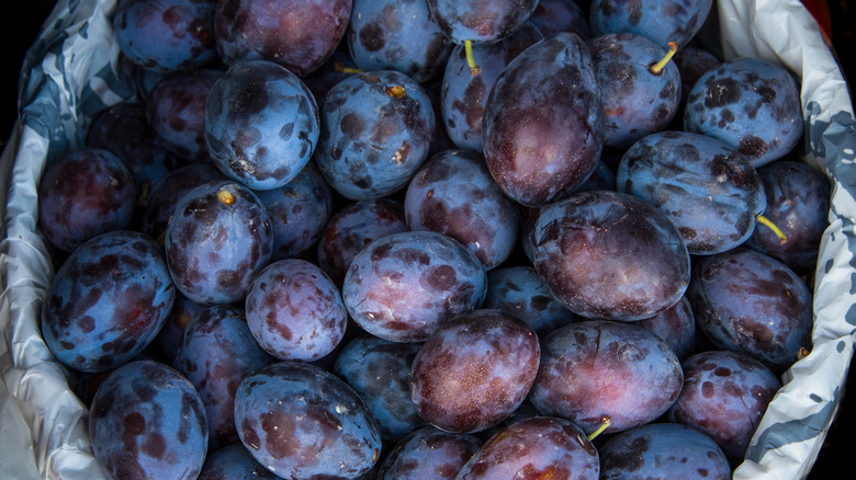 A bushel of prunes