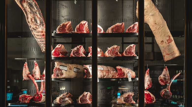 dry-age beef cabinet